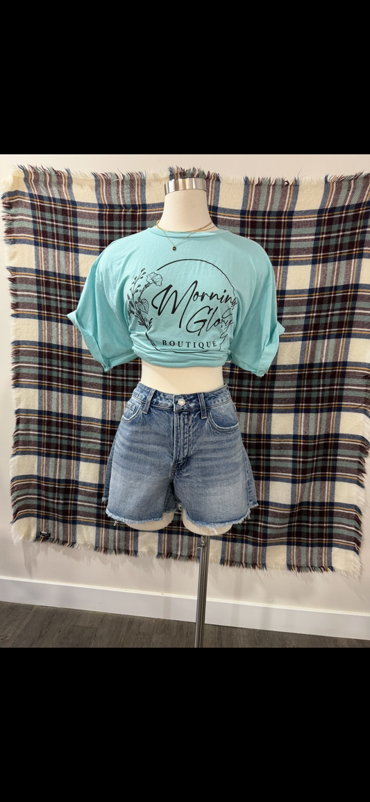 Darkroom High Rise Frayed Shorts